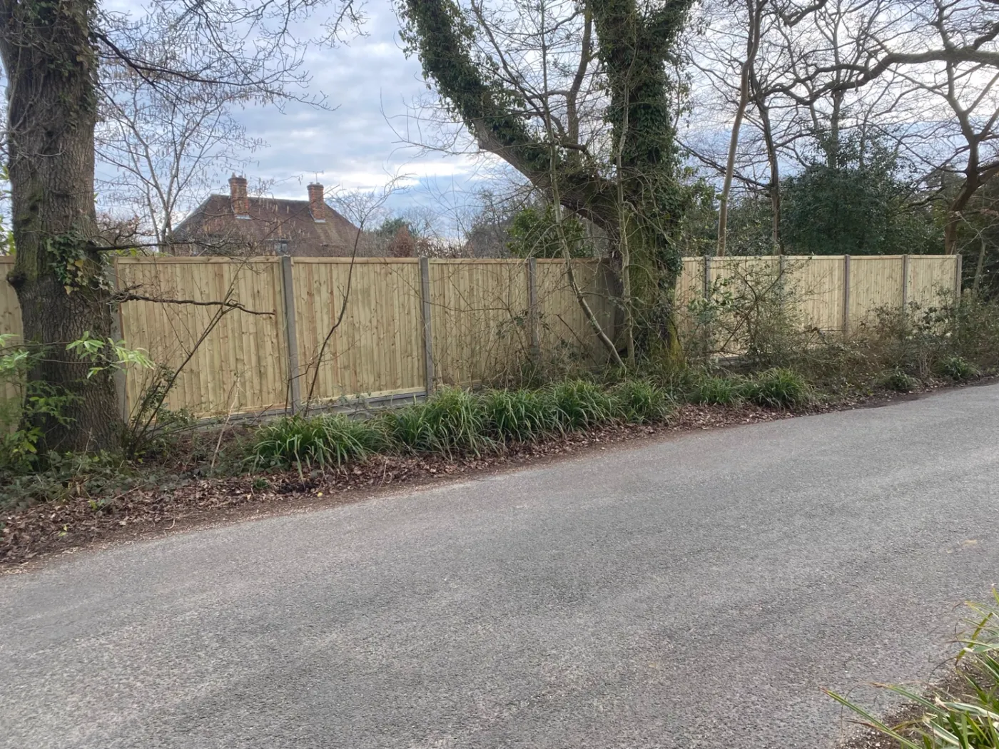 Feather edge fence panels installed beside a quiet lane